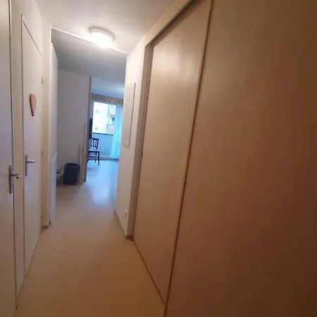 Les Balcons De La Foux Apartment